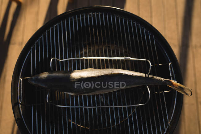 Close-up de peixe em um churrasco no quintal — Fotografia de Stock