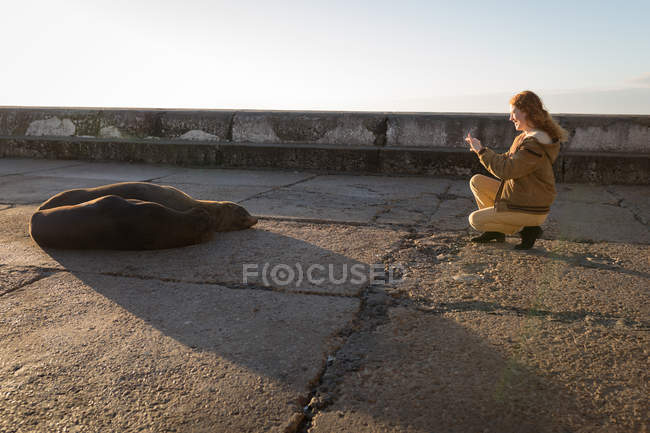 Усміхнена жінка фотографує морського лева з мобільним телефоном — стокове фото