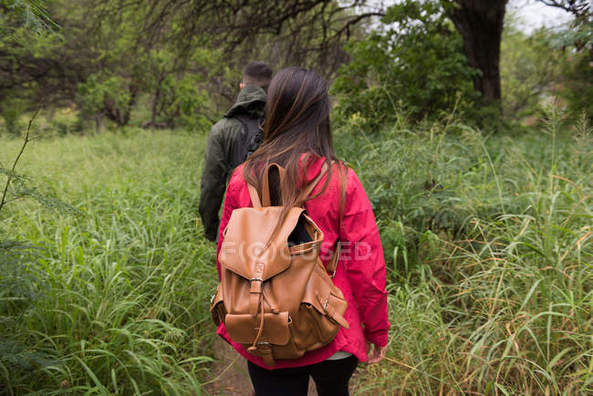 Vista trasera de pareja con mochila caminando en el campo - foto de stock