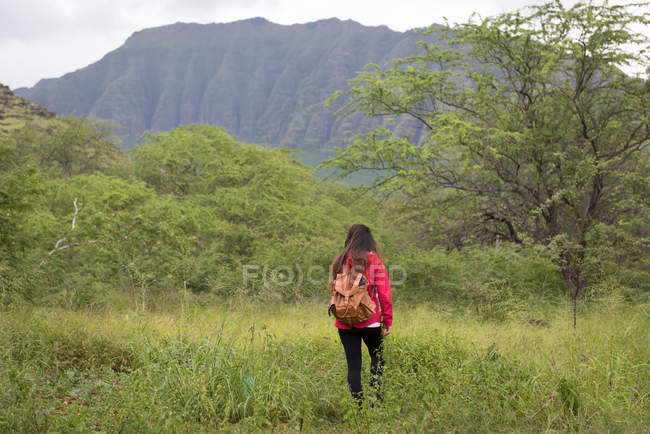 Vista posteriore della donna che cammina in campagna — Foto stock