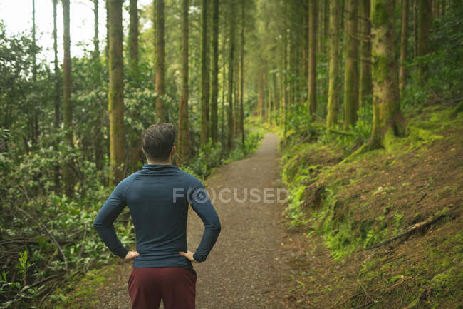 Задний вид человека, стоящего в пышном лесу — стоковое фото