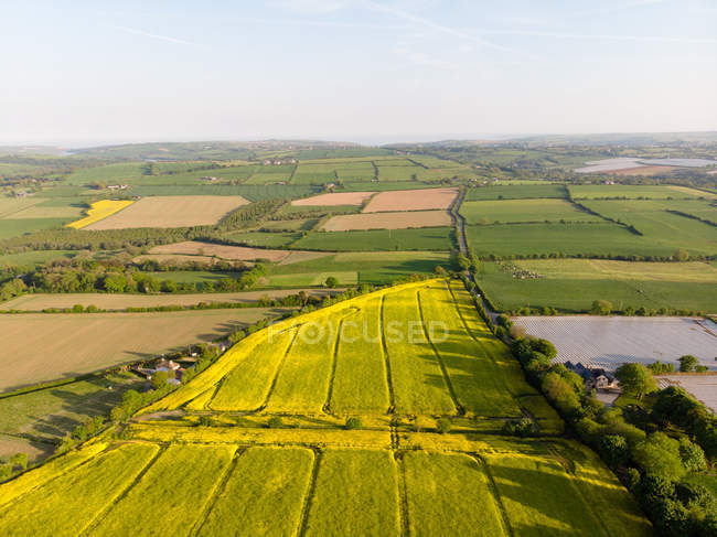Vista del campo de cultivos en un día soleado - foto de stock