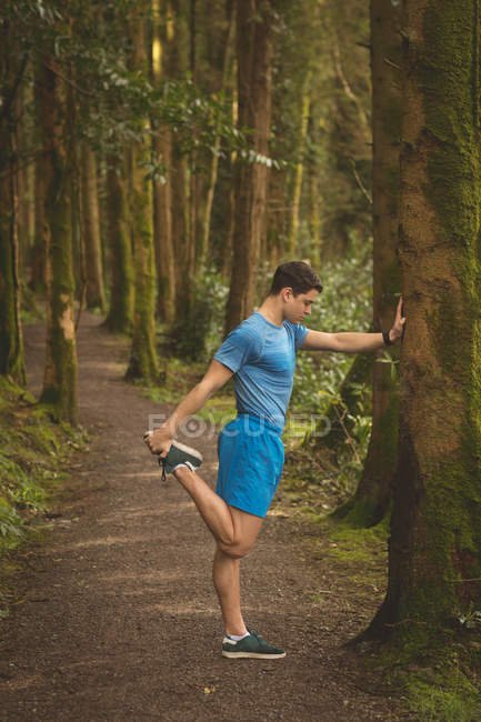 Young man stretching in the forest — Stock Photo