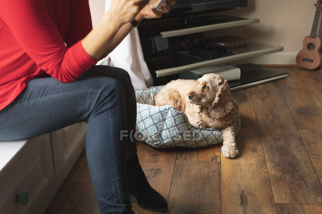 Mulher e cão de estimação sentado na sala de estar em casa — Fotografia de Stock