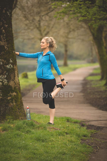 Beautiful pregnant woman exercising in the park — Stock Photo