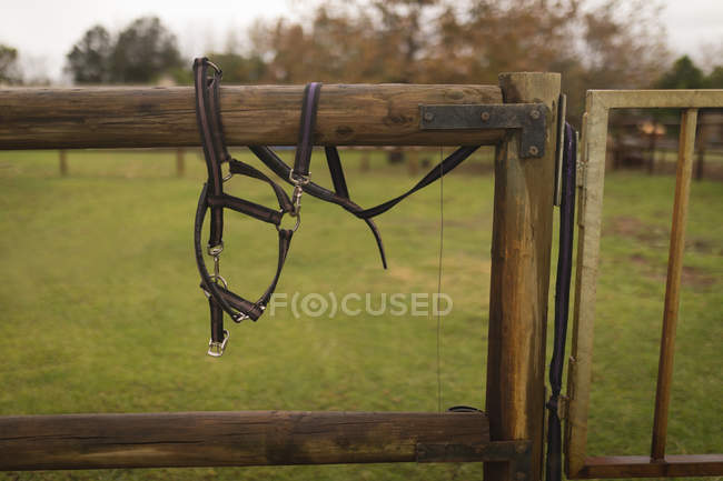 Gros plan du harnais à cheval sur un ranch en bois — Photo de stock