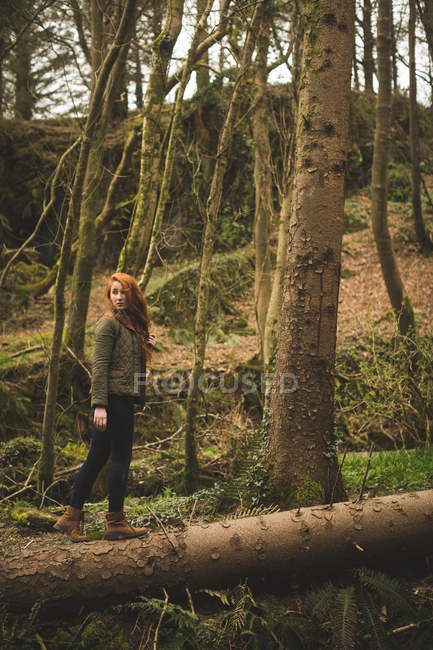 Giovane escursionista donna che cammina sul tronco d'albero caduto nella foresta — Foto stock