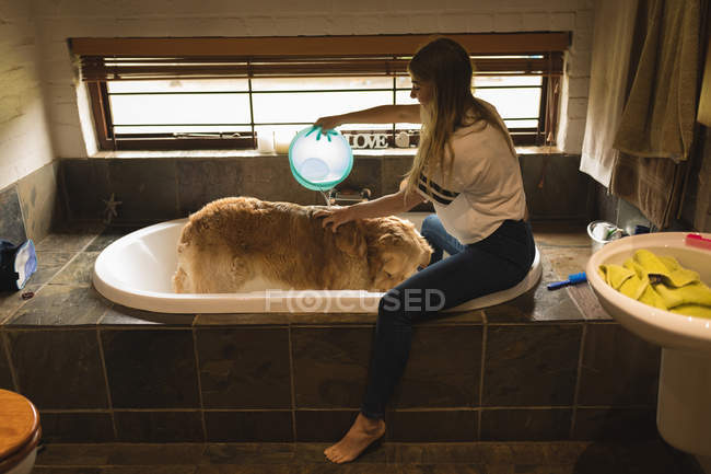 Girl cleaning a dog in bathroom at home — Stock Photo