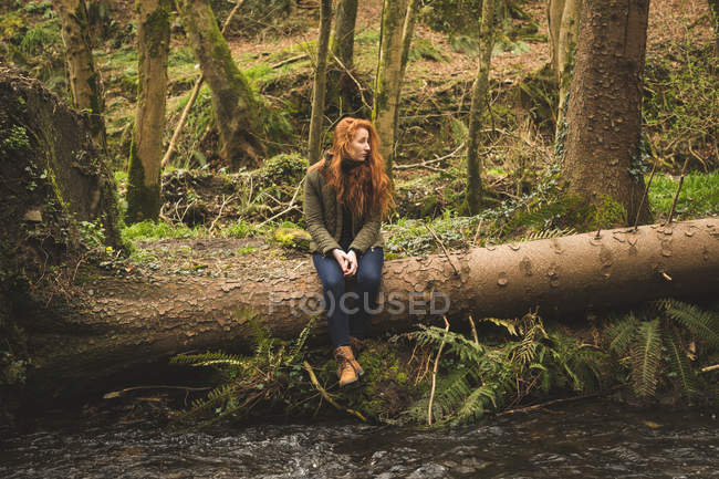 Bella escursionista femminile seduta sul tronco d'albero caduto vicino al fiume — Foto stock