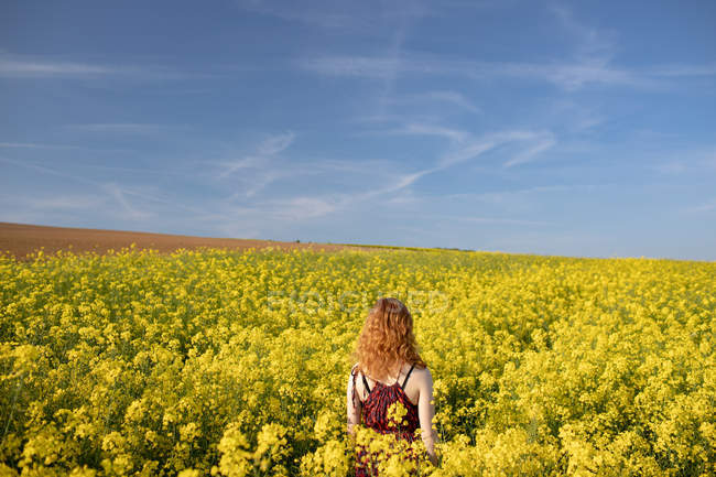 Rear view of woman standing in the mustard field on a sunny day — Stock Photo