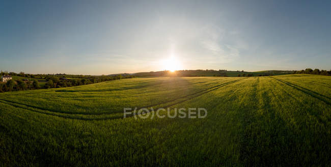 Vista do campo de culturas durante o pôr do sol, província de munster — Fotografia de Stock