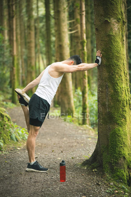 Fit man faire de l'exercice d'étirement dans la forêt — Photo de stock