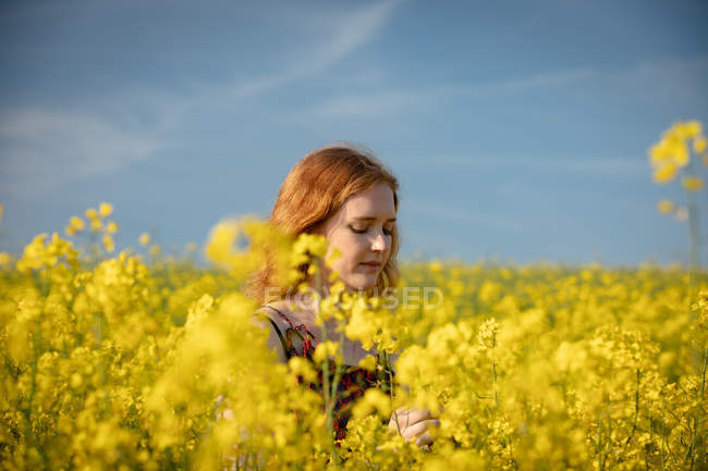 Tiro de cabeça de mulher tocando colheitas no campo de mostarda em um dia ensolarado — Fotografia de Stock