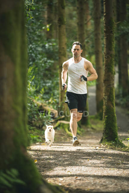 Homme jogging avec son chien dans la forêt luxuriante — Photo de stock