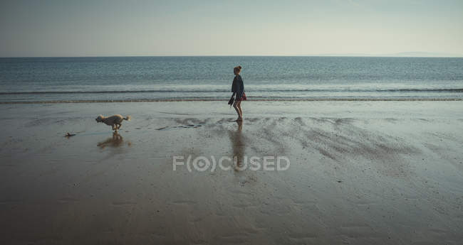 Женщина играет с собакой на пляже в солнечный день — стоковое фото
