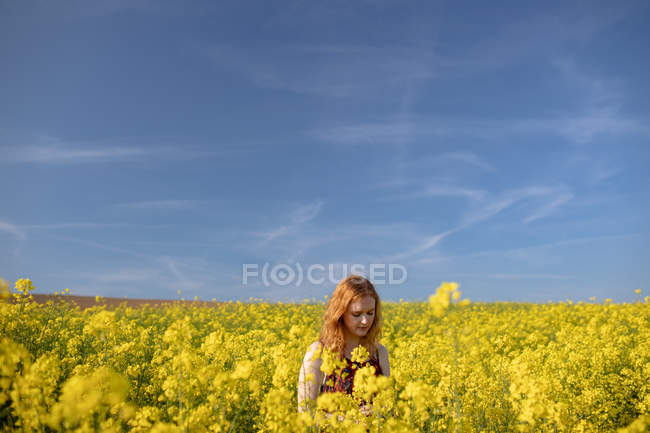 Mulher tocando colheitas no campo de mostarda em um dia ensolarado — Fotografia de Stock