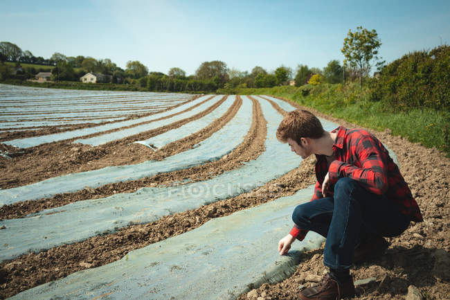Young man checking the field land — Stock Photo