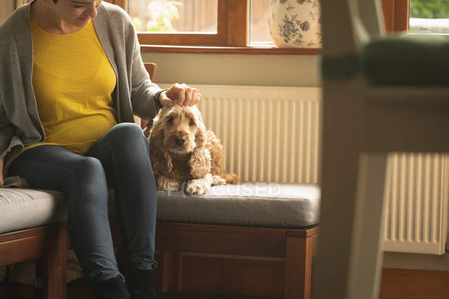 Femme enceinte caressant chien dans le salon à la maison — Photo de stock