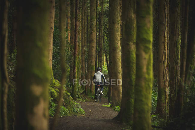 Rückansicht Radfahrer mit Fahrrad durch üppigen Wald — Stockfoto
