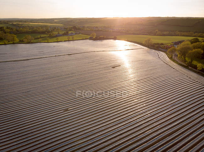 Blick auf gepflügtes Feld bei Sonnenuntergang — Stockfoto
