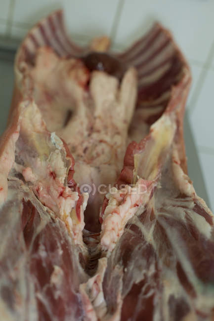 Крупный план мяса в мясной лавке — стоковое фото