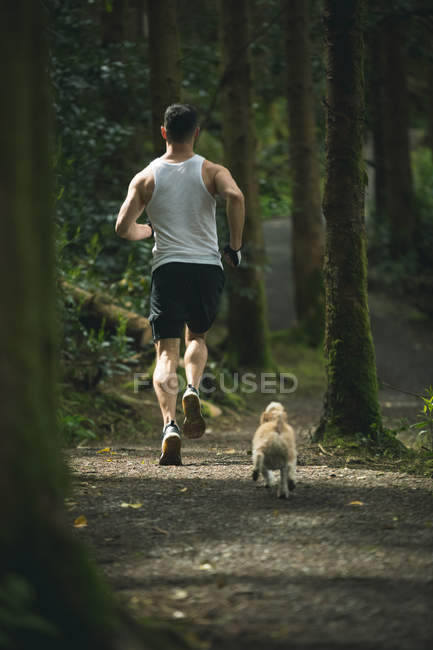Visão traseira do homem correndo com seu cão na floresta exuberante — Fotografia de Stock