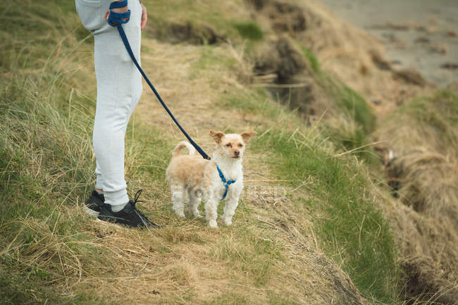 Низька частина людини зі своїм собакою, що стоїть на березі моря — стокове фото