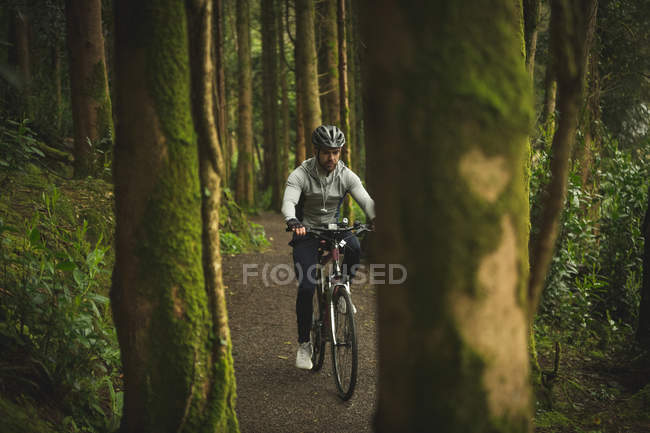 Radler in Sportbekleidung radeln durch üppigen Wald — Stockfoto