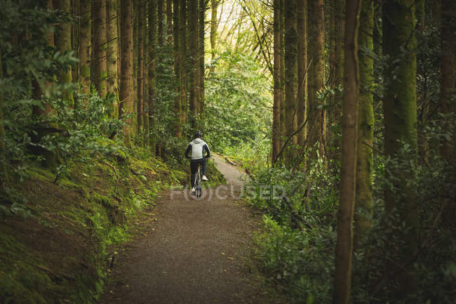 Visão traseira da bicicleta ciclista andando através da floresta exuberante — Fotografia de Stock
