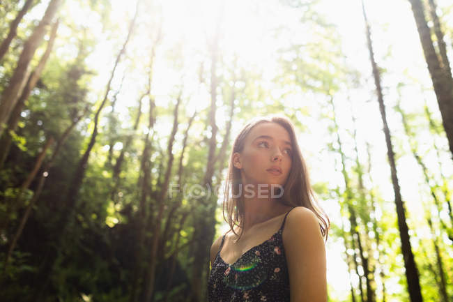 Mulher bonita de pé na floresta verde em um dia ensolarado — Fotografia de Stock