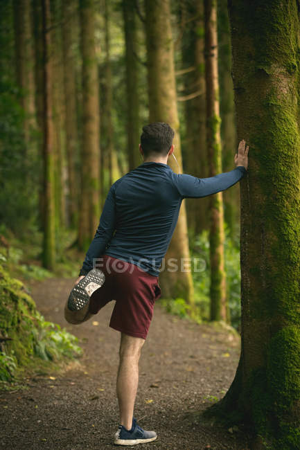Вид ззаду людини, що робить вправи на розтяг у лісі — стокове фото