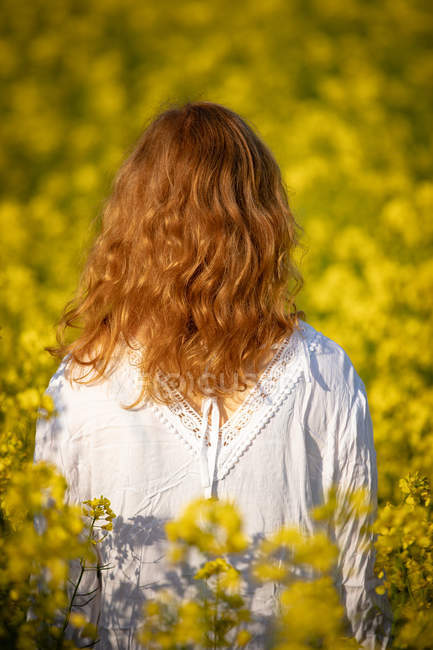 Vue arrière de la femme debout dans le champ de moutarde — Photo de stock