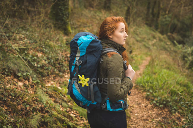 Caminhante bonita fêmea com mochila olhando ao redor na floresta — Fotografia de Stock