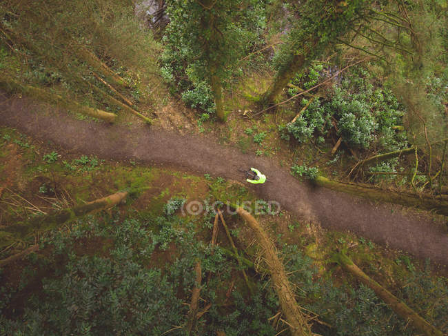 Vista aérea del hombre en bicicleta en el bosque - foto de stock