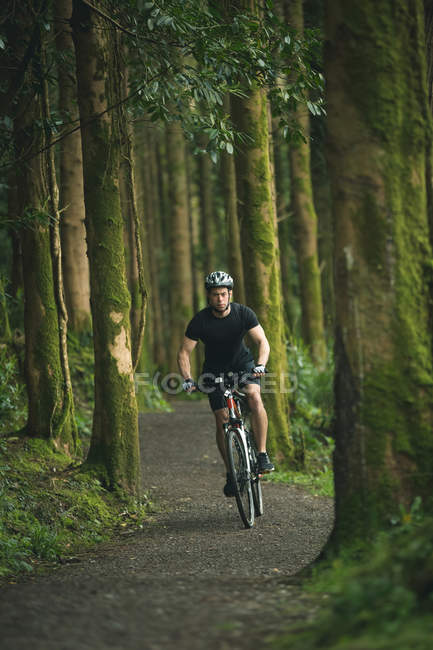 Cyclist in sportswear riding bicycle through lush forest — Stock Photo
