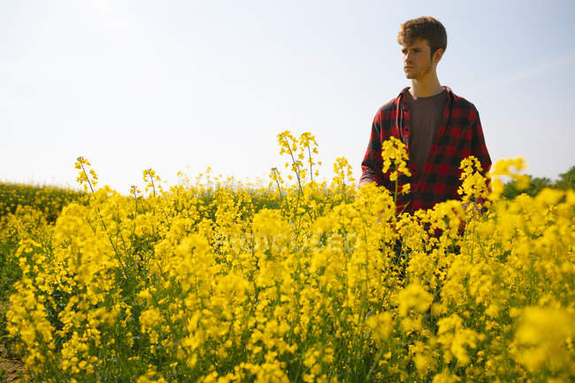 Homem de pé no campo de mostarda no dia ensolarado — Fotografia de Stock
