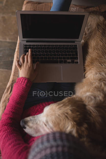 Дівчина з собакою використовує ноутбук у вітальні вдома — стокове фото