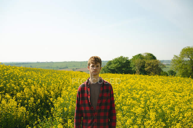 Homem de pé no campo de mostarda no dia ensolarado — Fotografia de Stock
