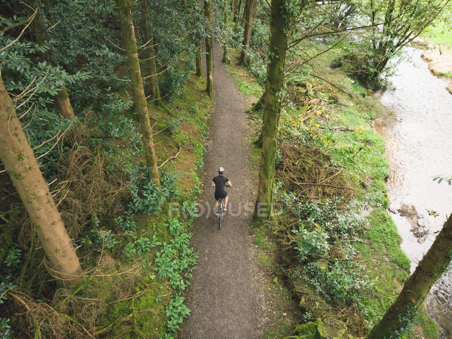 Aerial of cyclist riding bicycle through lush forest — Stock Photo