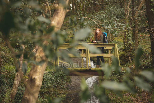 Belle randonneuse avec sac à dos regardant autour dans la forêt — Photo de stock