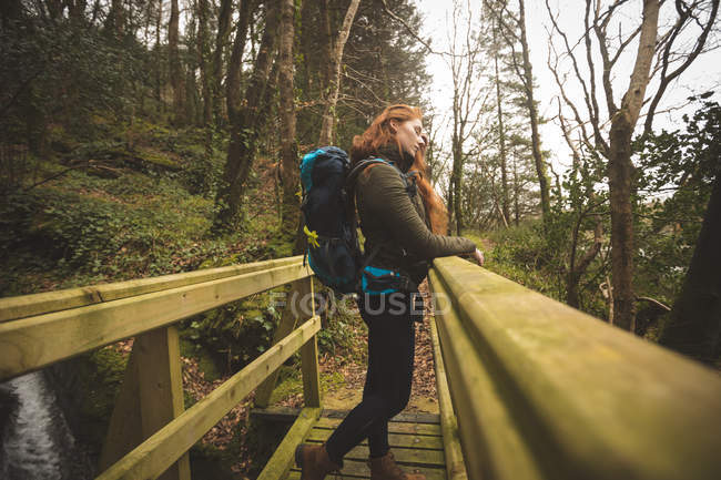 Красива жінка-пішохідка з рюкзаком, який дивиться навколо в лісі — стокове фото