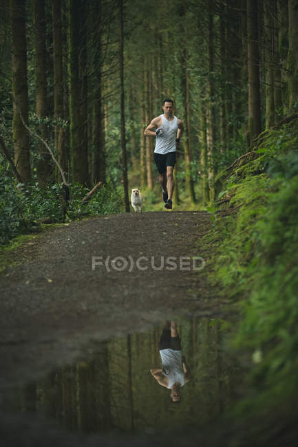 Man jogging with his dog in lush forest — Stock Photo