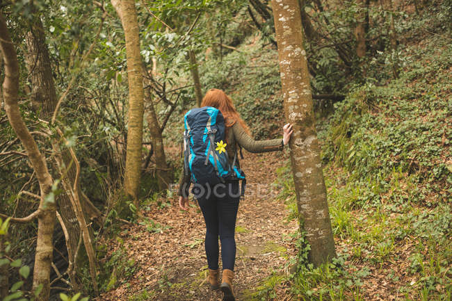 Visão traseira de caminhante feminino com mochila caminhadas na floresta — Fotografia de Stock