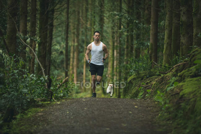 Чоловік біжить зі своїм собакою в пишному лісі — стокове фото