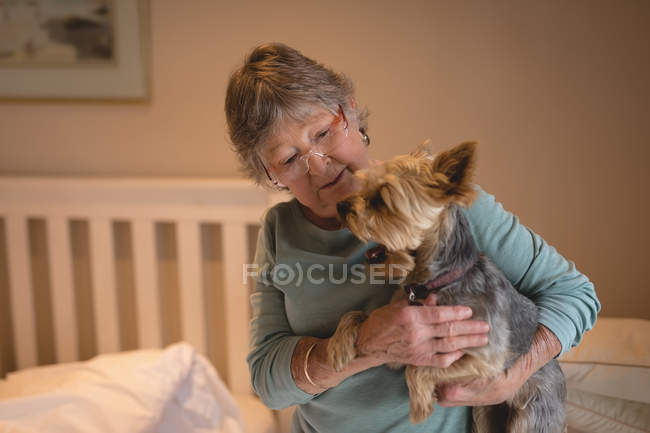 Senior woman holding a dog at home — Stock Photo
