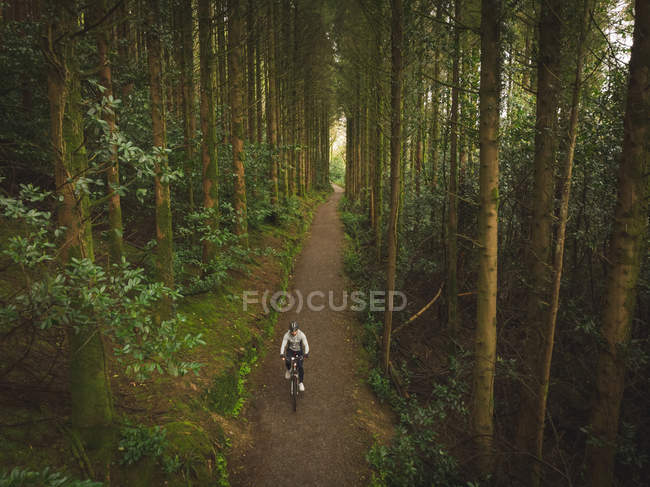 Radler in Sportbekleidung radeln durch üppigen Wald — Stockfoto