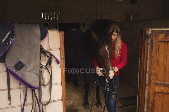 Girl putting harness on horse mouth in the ranch — Stock Photo