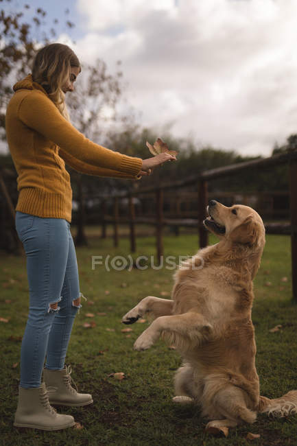 Ragazza adolescente che gioca con il suo cane nel ranch — Foto stock