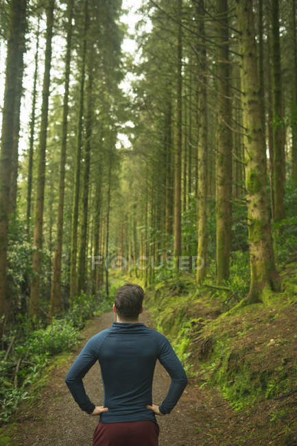 Rückansicht eines Mannes, der im üppigen Wald steht — Stockfoto