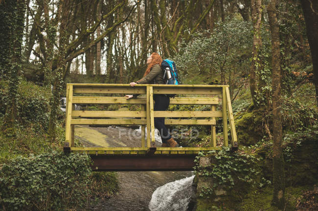 Hermosa excursionista femenina con mochila mirando alrededor en el bosque - foto de stock